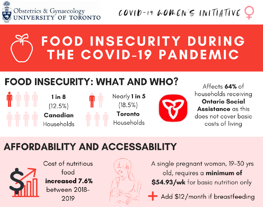 food insecurity infographic sample