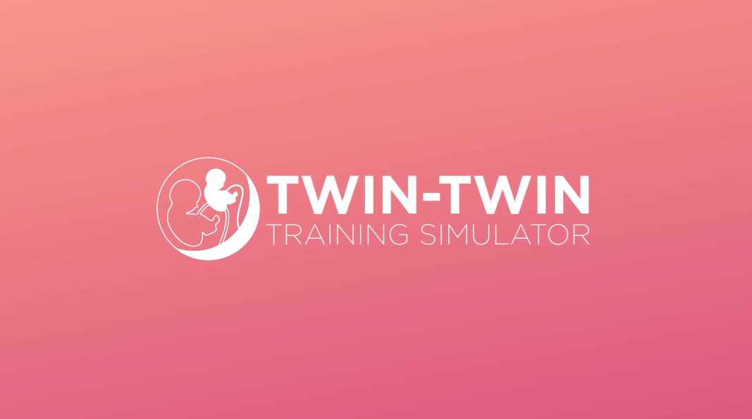 Twin-to-Twin Simulator logo